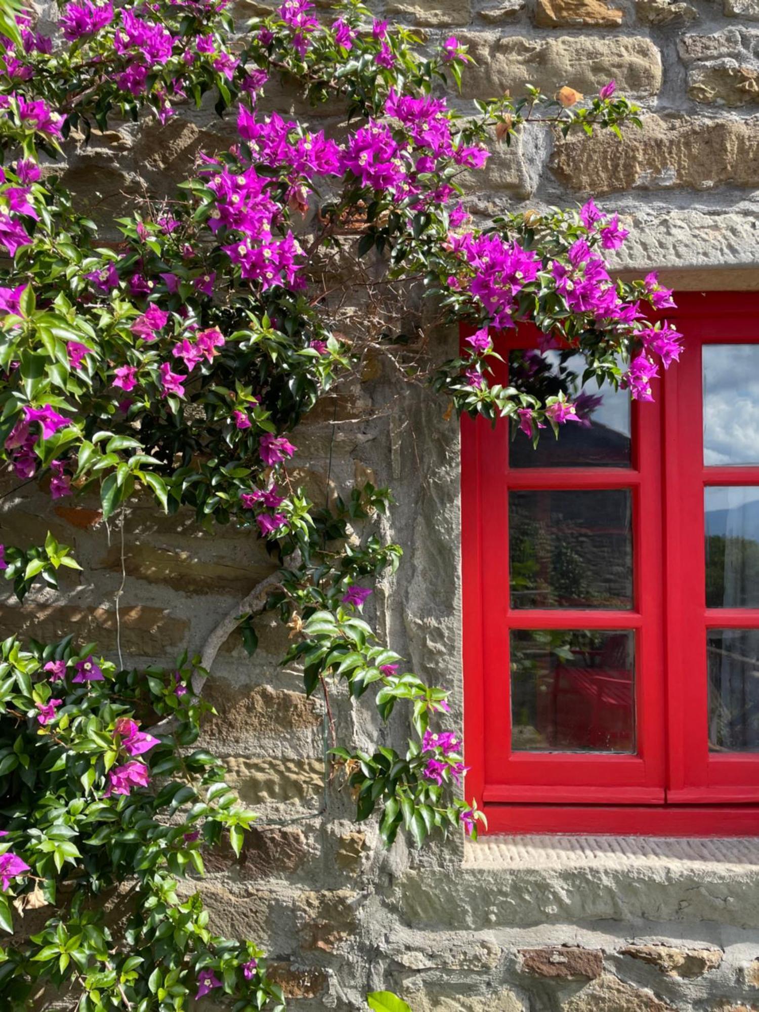 Country house Borgo La Capraia *