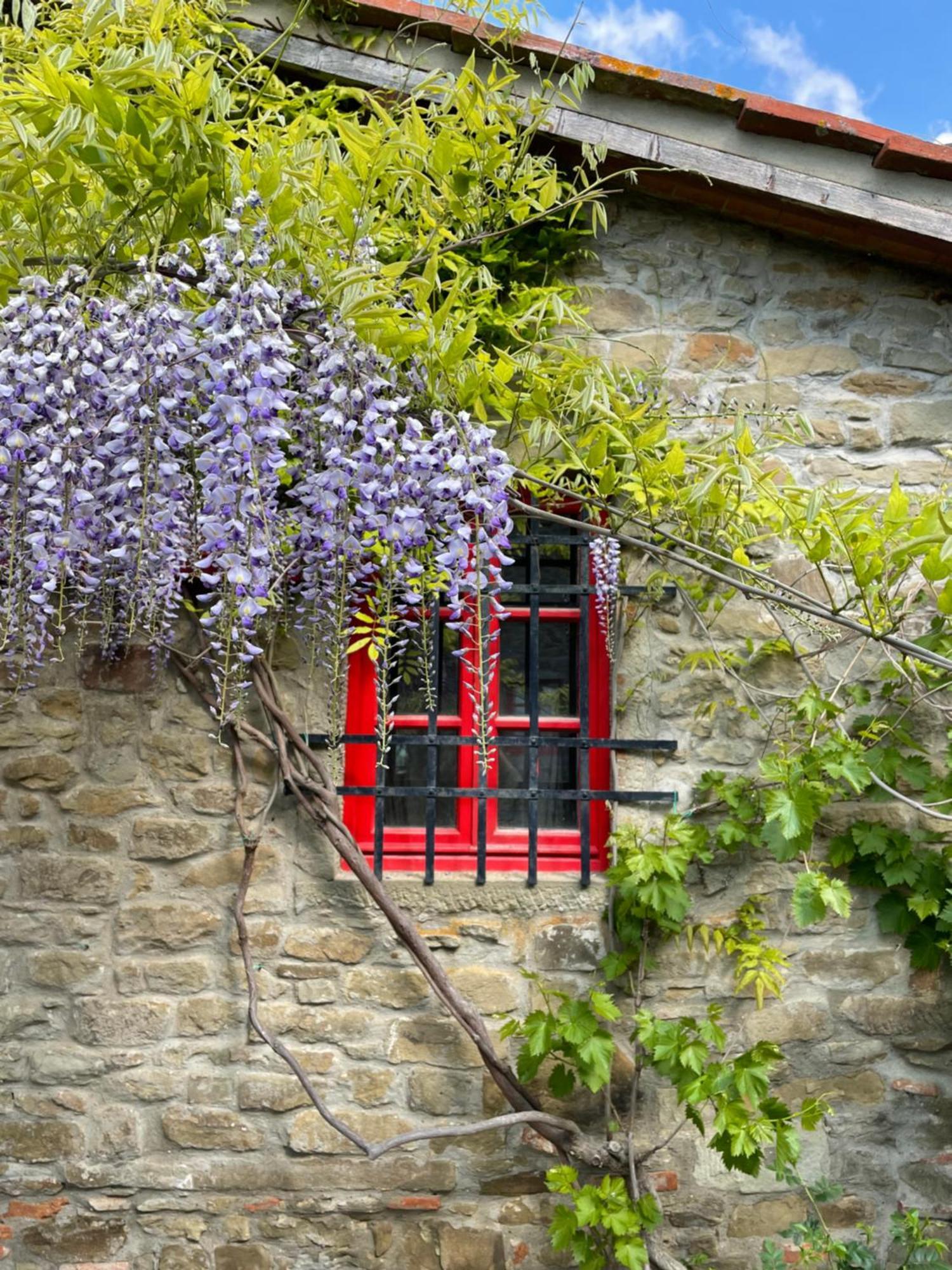 Country house Borgo La Capraia Castelfranco di Sopra
