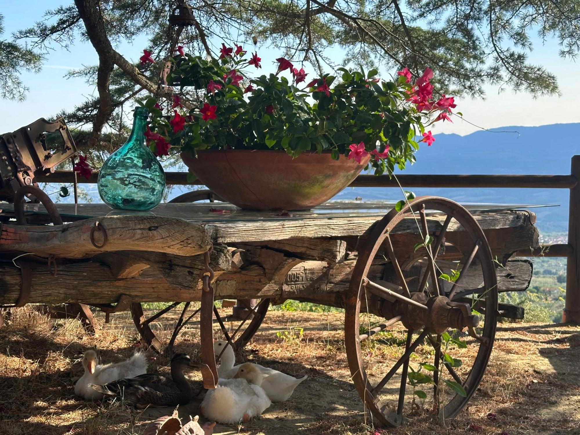 Country house Borgo La Capraia